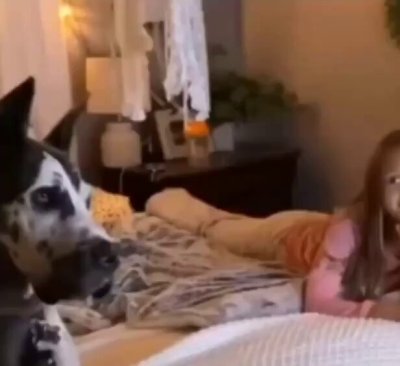 Watch Buitengebieden's leaked NSFW video on TwXstars