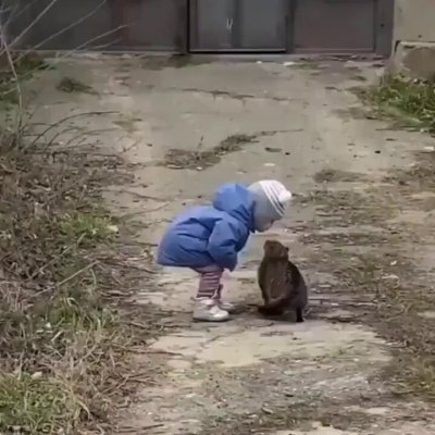 Watch Buitengebieden's leaked NSFW video on TwXstars