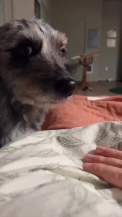 Watch Buitengebieden's leaked NSFW video on TwXstars