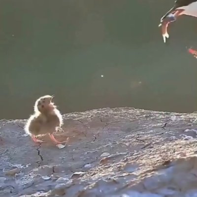 Watch Buitengebieden's leaked NSFW video on TwXstars