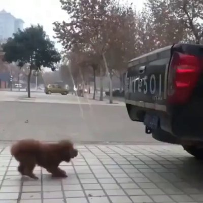 Watch Buitengebieden's leaked NSFW video on TwXstars