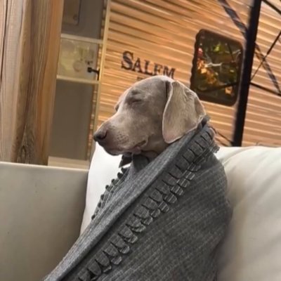 Watch Buitengebieden's leaked NSFW video on TwXstars