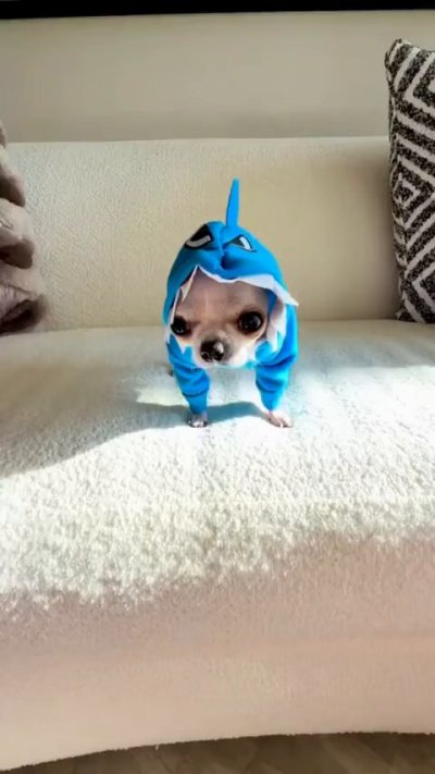 Watch Buitengebieden's leaked NSFW video on TwXstars