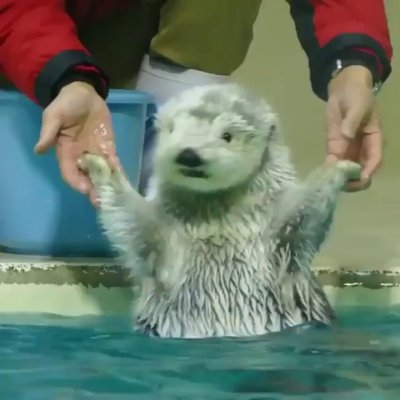 Watch Buitengebieden's leaked NSFW video on TwXstars