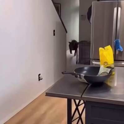 Watch Buitengebieden's leaked NSFW video on TwXstars