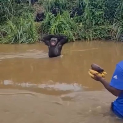 Watch Buitengebieden's leaked NSFW video on TwXstars