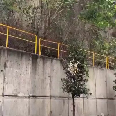 Watch Buitengebieden's leaked NSFW video on TwXstars