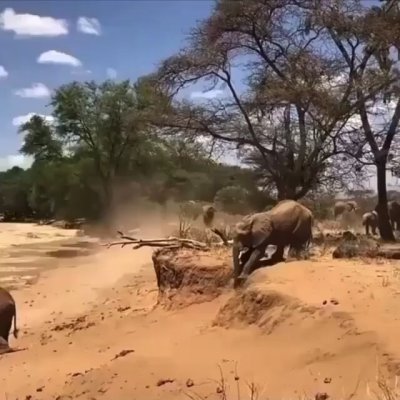 Watch Buitengebieden's leaked NSFW video on TwXstars