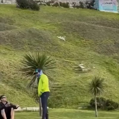 Watch Buitengebieden's leaked NSFW video on TwXstars