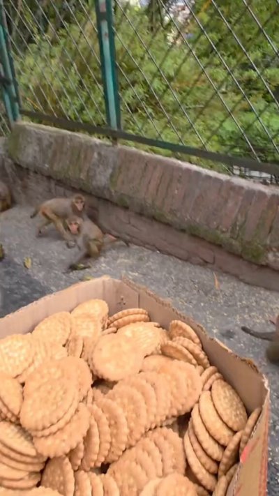 Watch Buitengebieden's leaked NSFW video on TwXstars