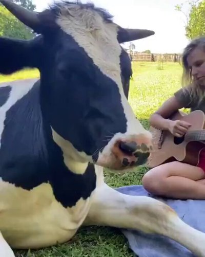 Watch Buitengebieden's leaked NSFW video on TwXstars