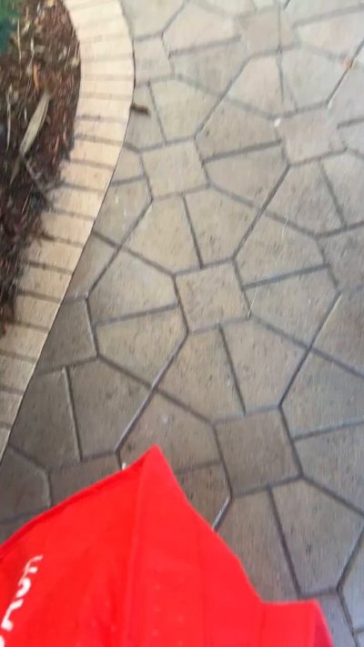 Watch FearBuck's leaked NSFW video on TwXstars