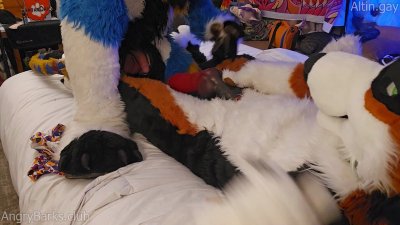 Watch 🔞1-800-🅱️RK-ALOT🔞 🔜 iFC 2025's leaked NSFW video on TwXstars