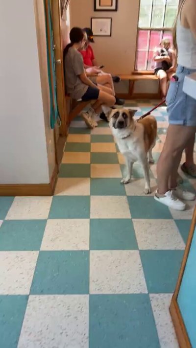 Watch WeRateDogs's leaked NSFW video on TwXstars