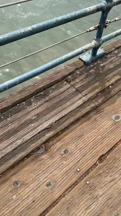 Watch Cat's leaked NSFW video on TwXstars