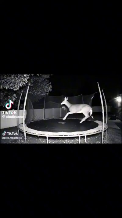 Watch Kasey Storm®™'s leaked NSFW video on TwXstars