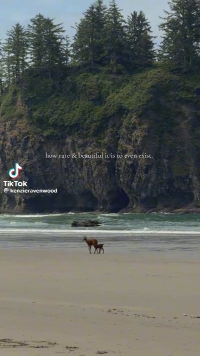 Watch 𝑆𝐼𝐸𝑁𝑁𝐴 𝑊𝐸𝑆𝑇's leaked NSFW video on TwXstars