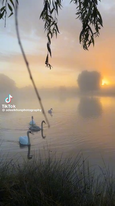 Watch 𝑆𝐼𝐸𝑁𝑁𝐴 𝑊𝐸𝑆𝑇's leaked NSFW video on TwXstars