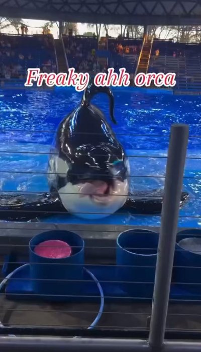 Watch ♥️XLUSIVE🤴🏾👸🏾COUPLE♥️'s leaked NSFW video on TwXstars