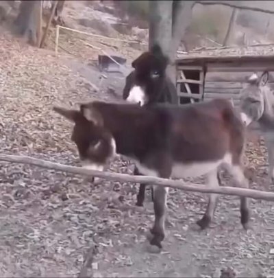 Watch Fun Viral Vids 😊's leaked NSFW video on TwXstars