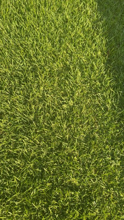 Watch phatrabbitkiller.com's leaked NSFW video on TwXstars