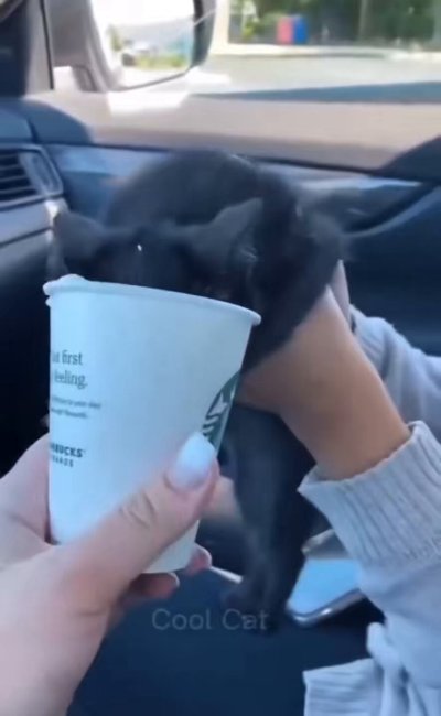 Watch Bryan Gozzling's leaked NSFW video on TwXstars