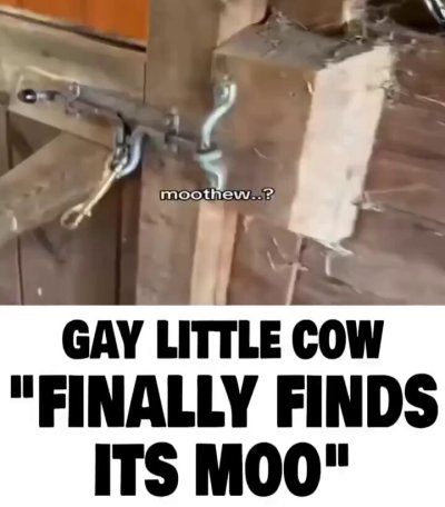 Watch DONNIE DARKO 🧛🏽's leaked NSFW video on TwXstars