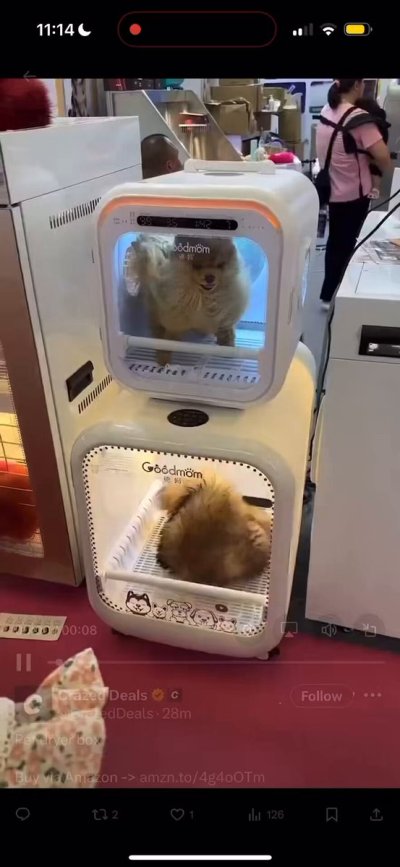 Watch Bryan Gozzling's leaked NSFW video on TwXstars