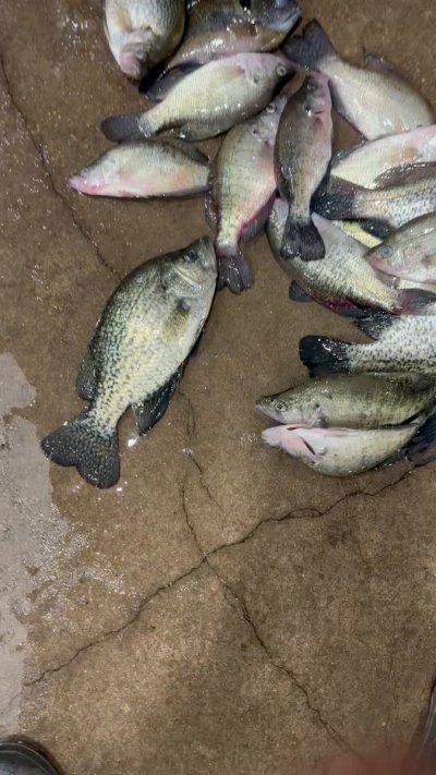 Watch SMOKEPOLEBOY1's leaked NSFW video on TwXstars