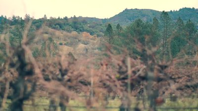 Watch Casey Frey's leaked NSFW video on TwXstars