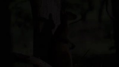 Watch Western Australia's leaked NSFW video on TwXstars