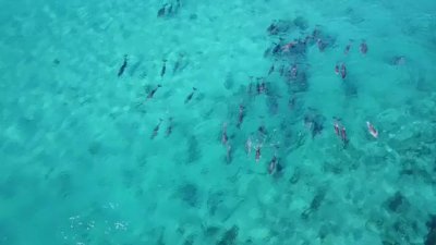 Watch Western Australia's leaked NSFW video on TwXstars