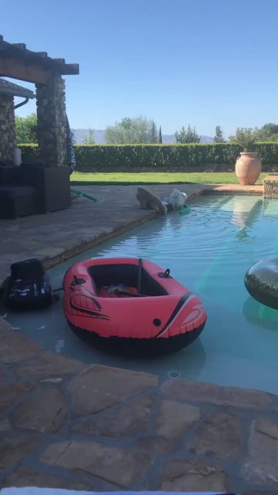 Watch Jillian Barberie's leaked NSFW video on TwXstars