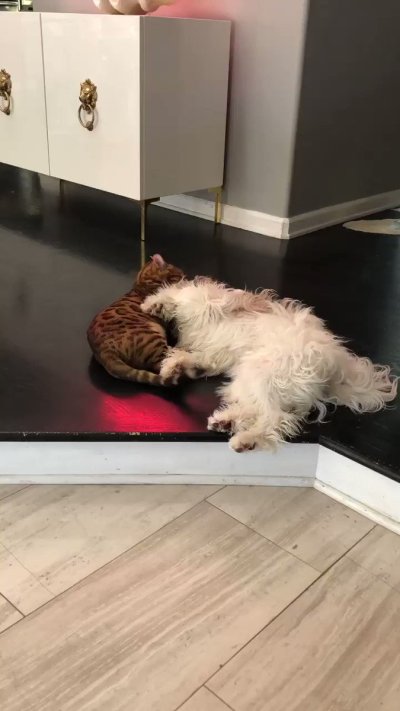 Watch Jillian Barberie's leaked NSFW video on TwXstars