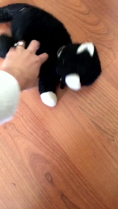 Watch temporarily away 💕's leaked NSFW video on TwXstars