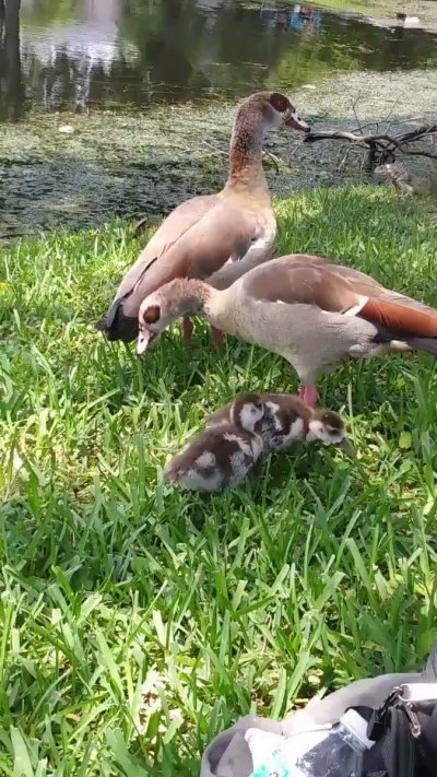 Watch Karen Summer's leaked NSFW video on TwXstars