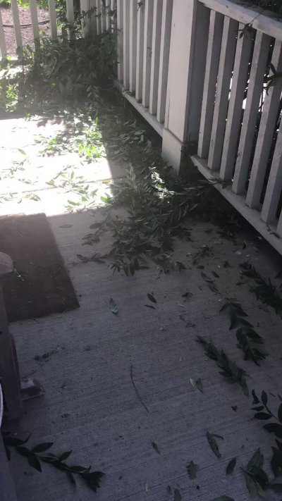 Watch  🅚🅐🅜🅒🅞🅜 's leaked NSFW video on TwXstars