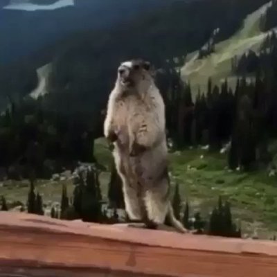 Watch landon's leaked NSFW video on TwXstars