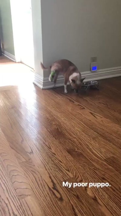 Watch VividVivka 💜's leaked NSFW video on TwXstars