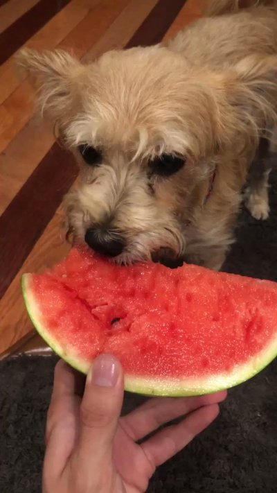 Watch CanhOe's leaked NSFW video on TwXstars