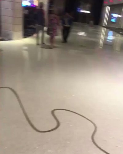 Watch landon's leaked NSFW video on TwXstars