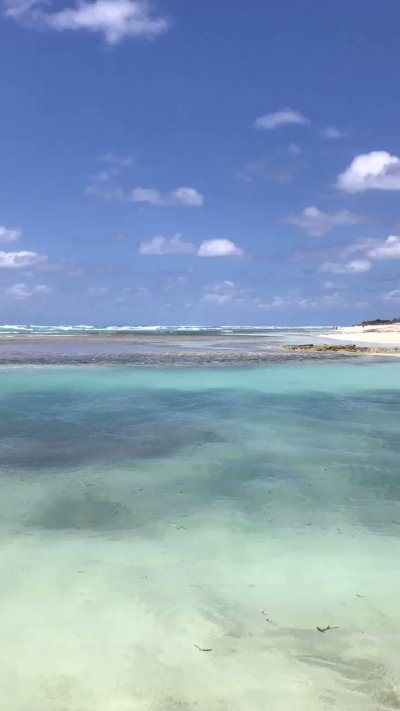 Watch Ahmad's leaked NSFW video on TwXstars