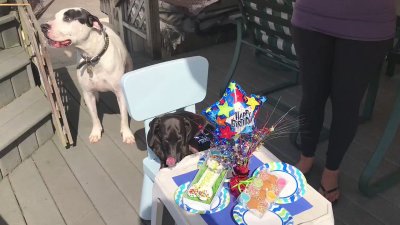 Watch Kari Nautique's leaked NSFW video on TwXstars