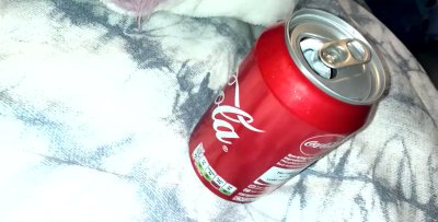 Watch Lauren Alexis's leaked NSFW video on TwXstars