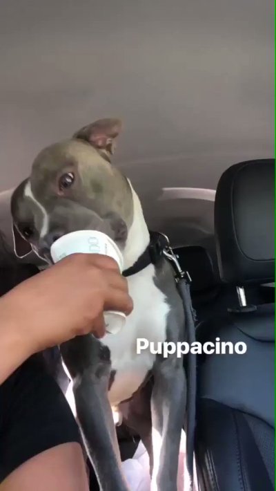 Watch 𝖘𝖜𝖊𝖊𝖙𝖍𝖊𝖆𝖗𝖙♥️'s leaked NSFW video on TwXstars