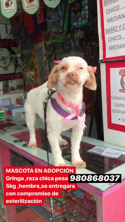 Watch Xoana Gonzalez's leaked NSFW video on TwXstars