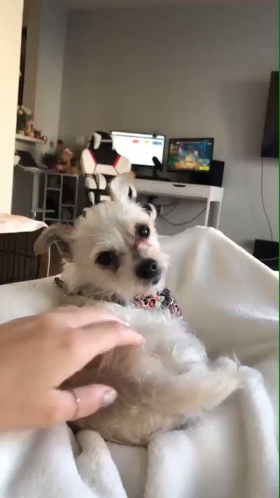 Watch corinna kopf's leaked NSFW video on TwXstars