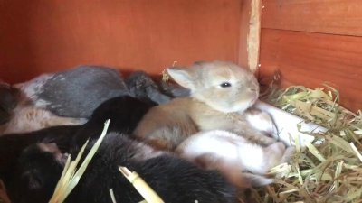 Watch MariaJupiter Suicide's leaked NSFW video on TwXstars