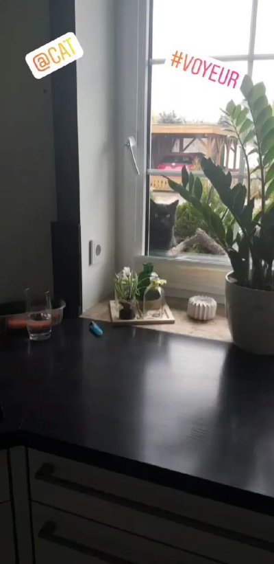 Watch Candy Samira's leaked NSFW video on TwXstars