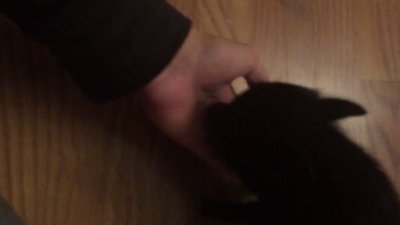 Watch landon's leaked NSFW video on TwXstars